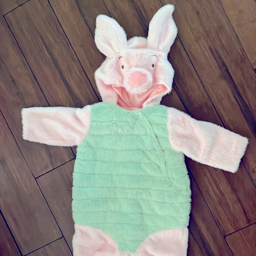 Pottery Barn Kids Piglet Winnie the Pooh costume